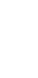 30日間